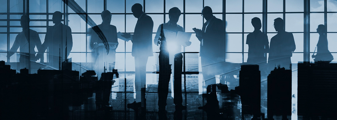 Business consulting team